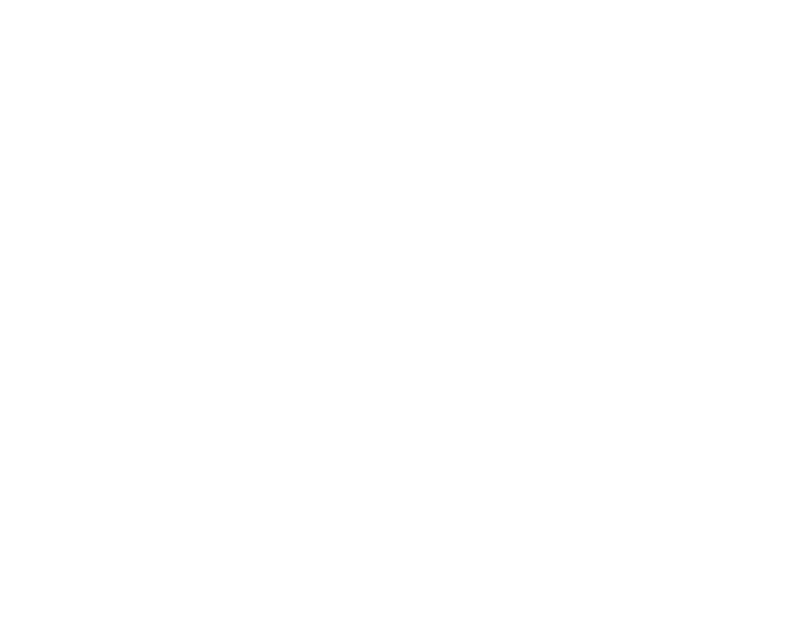 DICE
